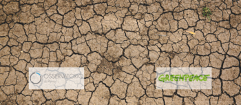 Politici e crisi climatica: il report di Osservatorio di Pavia per Greenpeace