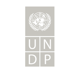 UNDP